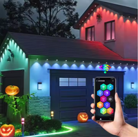 Guirlandes lumineuses intelligentes pour toit de parc d'attractions, lumières LED RGBW IP67 à pixels, décoration extérieure permanente de Noël