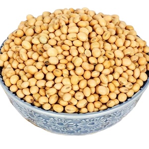 เมล็ดถั่วเหลืองสีเหลืองสดใหม่จากธรรมชาติ ปลอดจีเอ็มโอ - Product Image 1