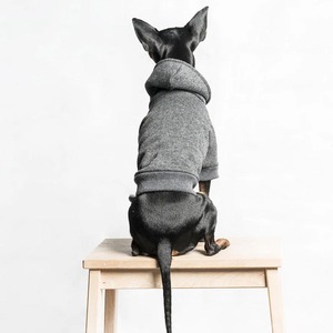 เสื้อสุนัขแบบนุ่มน่ารักสำหรับ2025เสื้อผ้าสัตว์เลี้ยงสำหรับลูกสุนัขฤดูหนาวดีไซน์ล่าสุด - Product Image 5