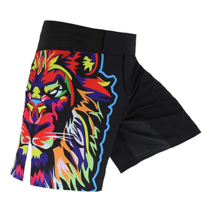 Short de combat MMA personnalisé de qualité supérieure avec impression graphique sur panneau latéral Short MMA en polyester durable avec fermeture à la taille Velcro en meilleure vente - Product Image 1