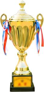 Trofeo de Cricket Profesional de Metal, Copa de Campeonato, Premio para Torneo - Product Image 4