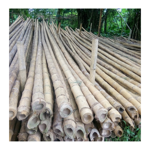 Postes de bambú natural seco de buena calidad con muchos tamaños para la construcción-Poste de bambú al por mayor - Product Image 1