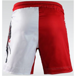 2025 Shorts MMA de qualité supérieure pour homme Shorts d'impression de logo personnalisé Shorts MMA de style le plus récent porte des vêtements d'entraînement - Product Image 4