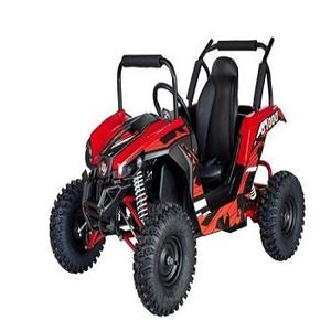 Superbe Offre pour Mini UTV Écologique pour Enfants 1200W 48V 12Ah Buggy Électrique Rouge - Product Image 1