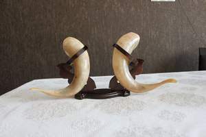 ICON Tradition Corne à boire Viking naturelle faite à la main de meilleure qualité avec la meilleure qualité fabriquée par exportation depuis l'Inde - Product Image 5