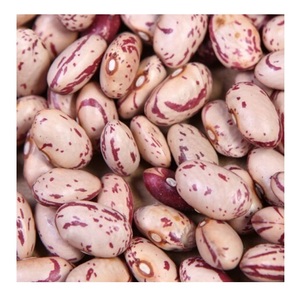 Best Quality Hot Sale Red Speckled <b>Beans</b> 500g Pack / Bulk Pack | Dried Lentils, <b>Beans</b>, Grains & Pulses - Product Image 3