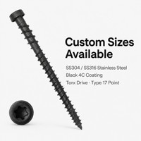 Vis à bois Torx à tête cylindrique en acier inoxydable noir 304, type 17, autoperceuse, pour fixation de terrasses intérieures et extérieures