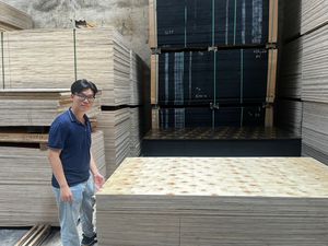 Contrachapado de Abedul Vietnamita Versátil de 4x8, 18 mm de Grosor, Ecológico, con Recubrimiento de Película, Resistente al Agua, para Cocina, Dormitorio, Comedor, Almacén - Product Image 5