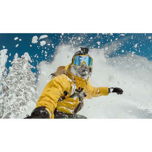 สำหรับกล้องวิดีโอพลาสติกสำหรับการเฝ้าระวัง GoPro ACHOM-002 - Product Image 5