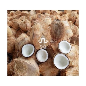 TENDANCE ACTUELLE : Noix de coco mûre, pure, d'origine agricole, pour des expériences culinaires créatives et une source durable pour la fabrication de cordes. - Product Image 1
