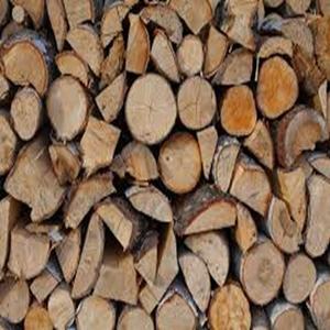 Troncos de leña de roble sazonado-Roble Fresno Pino Abedul Disponible a Precios Baratos - Product Image 4