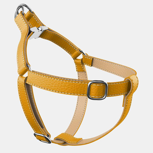 สายจูงสุนัขทำด้วยมือทำจากหนังพร้อมอุปกรณ์เสริมทองเหลืองทองแท็กสุนัขแบบออกแบบได้ตามต้องการ Wds-0031 - Product Image 1