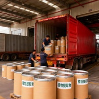 Usine de sachets de thé OEM/ODM, support direct, dropshipping, thé vert menthe cannelle personnalisable