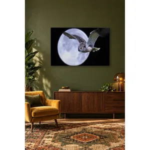 นกฮูกฟิดาบินอยู่ข้างหน้าพระจันทร์เต็มดวง ภาพพิมพ์บนผ้าใบ - Product Image 4