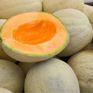 Premium Class I <b>Fresh</b> Cantaloupe <b>Melons</b> - High Brix Sweetness - Bulk Export Grade Musk <b>Melons</b> - Product Image 2