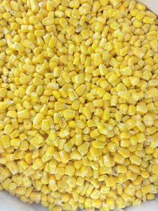 Maíz Amarillo de Larga Duración, Suministro a Granel, Bolsas de 50 kg, Ideal para Alimentación Animal e Ingredientes Alimenticios Industriales - Product Image 3