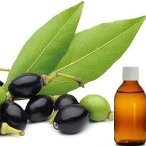 Vente en gros d'huile essentielle de laurier certifiée ISO huile essentielle de baie de laurier biologique de haute qualité d'huile de feuille de laurier d'Inde - Product Image 1