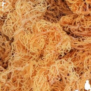 มอสทะเลแห้งจากเวียดนาม-ผลิตจากป่าธรรมชาติราคาถูก - Product Image 1