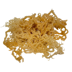 <b>Dried</b> Sea <b>Moss</b> - Healthy and Delicoius! - 100% Organic - Best Food for You - Product Image 1
