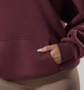 Latest Design 2025 Breathable Fabric New Style Plus Size Long Sleeves Winter Training Out <b>Door</b> Use Fashionable Hoodies - Product Image 5