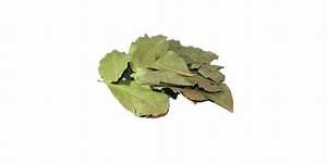 FEUILLES DE BAIN ENTIÈRES NATURELLES SÉCHÉES POUR UNE CUISSON PROPRE ET UN SOUTIEN BIEN-ÊTRE - Product Image 2