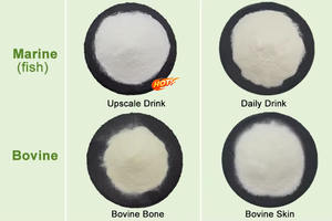 Pincredit fornitura di peptidi collagene pesce marino idrolizzato Peptide - Product Image 4