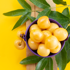 Le secret de beauté de l'Afrique Marula ODM / OBM Développé et formulé en Corée Crème anti-âge - Product Image 4