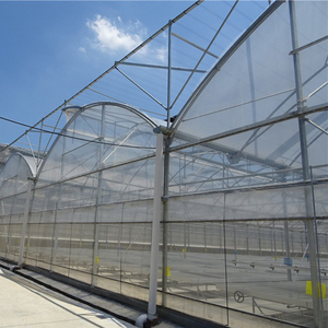 Serre en film plastique multicouche à simple paroi de grande taille, haute qualité, écoénergétique pour la production agricole toute l'année - Product Image 6