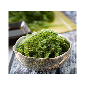 อาหารทะเลสีเขียวสดจากหญ้าทะเลสีเขียวธรรมชาติที่100% จากเวียดนาม - Product Image 5