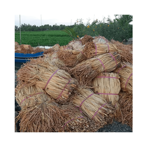 Fibres de jacinthe d'eau, teneur en fibres, produit agricole, Vietnam, jacinthe d'eau séchée, matière première pour le tissage artisanal - Product Image 3