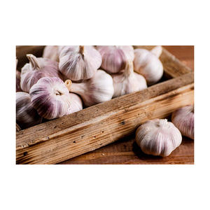 Best Quality Organic Fresh <b>White</b> Garlic Belgium 12 Months <b>Shelf</b> Life Direct Supply From Manufacturer - Product Image 4