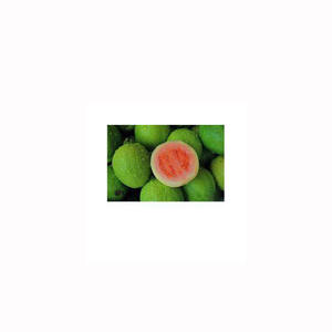Guava mûre de haute qualité, fruit tropical frais, sucré et juteux, fournisseurs en gros, marché d'exportation - Product Image 1