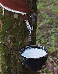 ยางไนไตรล์บิวทาไดอีน (NBR) เกรดการปั้นลาเท็กซ์ - Product Image 3