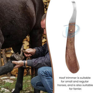 Couteaux à sabots en acier inoxydable fabriqués au Pakistan, nouveau design, couteaux à sabots sur mesure - Product Image 3