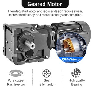 Presse à granulés de bois 15 kW, granulateur de biomasse robuste pour sciure de bois, coques de riz, paille, 300 kg/h, 380V, avec engrenages et roulements - Product Image 4