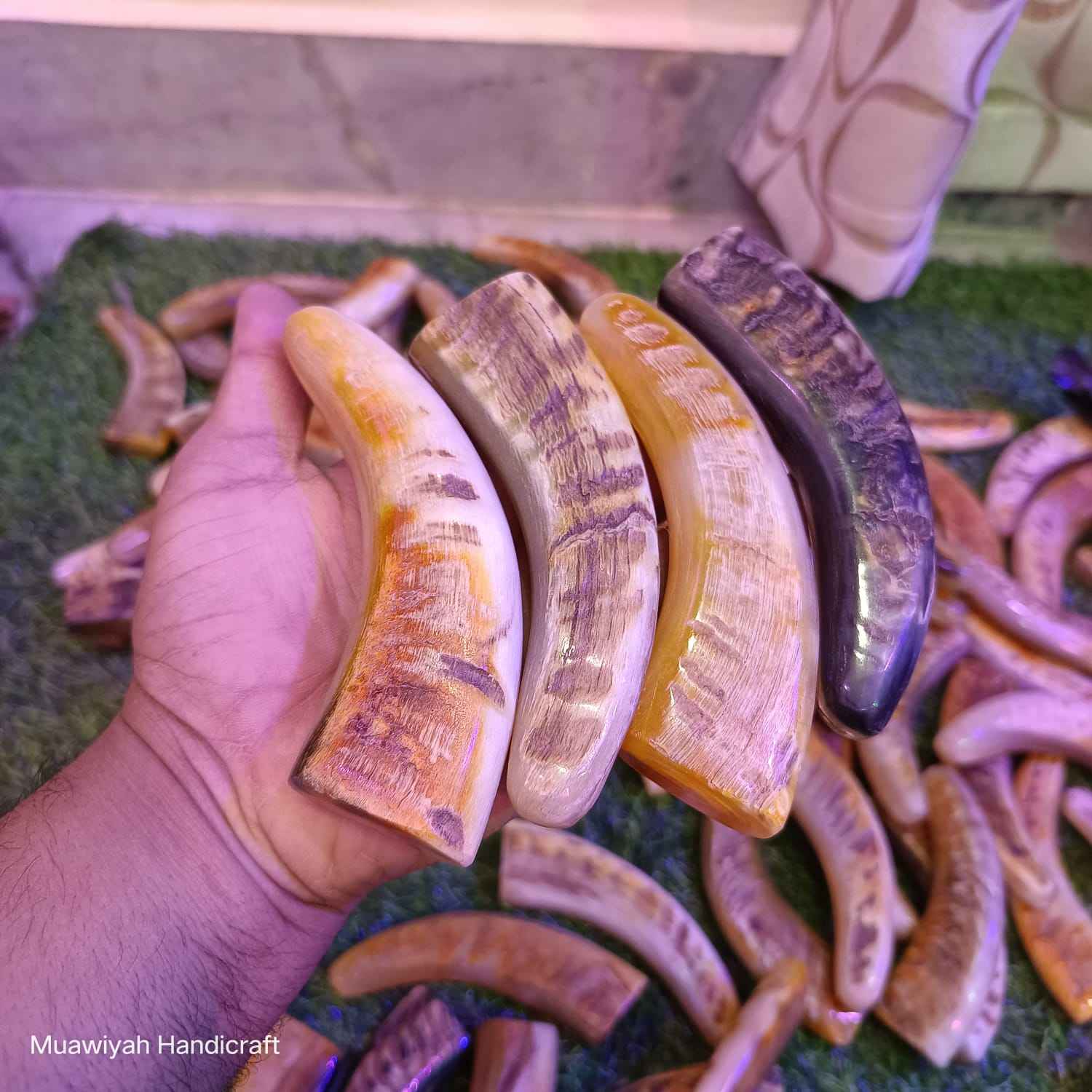 COULEUR DE CORNE DE BÉLIER NATUREL