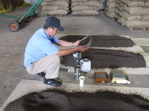 Meilleur prix pour le poivre noir du Vietnam 500G/L FAQ en vrac-Vilaconic Spices Factory | Contact: + 84 944 500 504 - Product Image 4