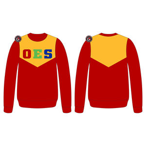 OES sudadera OEM servicio profesional calidad barata pullover hombres personalizado Color Regular hombres impreso sudaderas - Product Image 2