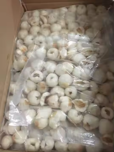 LYCHEE CONGELÉ DE HAUTE QUALITÉ: PULPE DE FRUITS DE LITCHI BIOLOGIQUE IQF, PEELÉ ET CONGELÉ EN VRAC, ENTIER ET TRANCHÉ, PRIX BON MARCHÉ. - Product Image 5