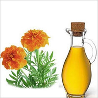 Huile essentielle de Tagetes en gros, 100% pure et naturelle, distillée à la vapeur, huile de souci pour l'aromathérapie, la parfumerie et les cosmétiques