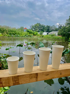 Vaso de Papel Desechable Ecológico GREEN NEST de Pared Simple de PE para Café, Té y Bebidas Frías con Impresión de Logotipo Personalizado en el Diámetro - Product Image 2