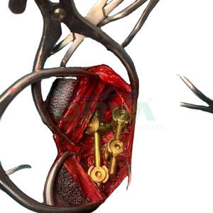 Retractores veterinarios Herramientas principales para cirugía animal - Product Image 5