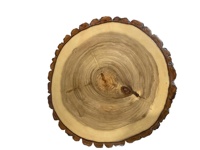 Pièces de bois de tilleul et de santal naturels polies, style nautique, thème ange, pour peinture européenne, mariage et Noël