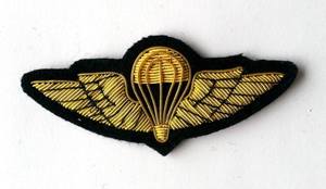 คอลเลกชั่นแพทช์ปักลายลูกไม้หนังลวดทองแท่งดีไซน์ใหม่แฟชั่นคุณภาพสูง - Product Image 3