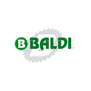 Remorque Baldi de haute qualité de fabrication italienne TRL 160 - 600 Kgs Trailer pour le transport de palettes Garantie 1 an Fabriqué en Italie - Product Image 6