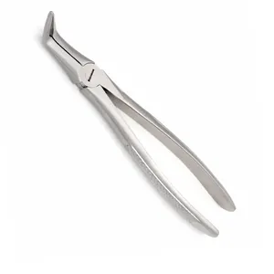 Dental Extracting Forceps 46L English Pattern Lower Roots With Serrated Tip Tooth Forceps Dental Instruments