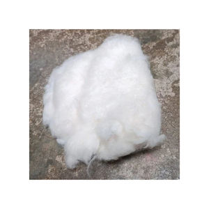 Coton brut de qualité pour la création de textiles, utilisé pour la filature, fourni sous forme compressée pour les chaînes d'approvisionnement mondiales - Product Image 2
