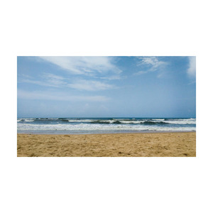 การสร้างไม้บีชเชิงพาณิชย์แบบพรีเมี่ยม - Product Image 3