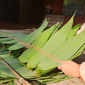 100% feuilles de bambou séchées au soleil naturelles grande taille 9cm + prix compétitif direct du Vietnam pour la fabrication de gâteaux - Product Image 1