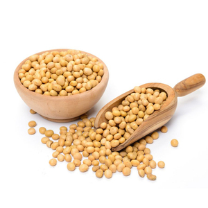 Organic Dried <b>Soybeans</b> Non-GMO High Quality Bulk Wholesale - Product Image 1